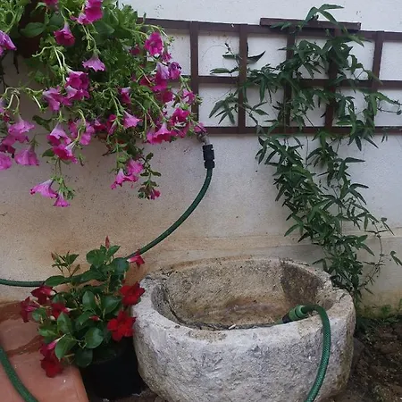 Apartment Princess House Palermo - Intero -