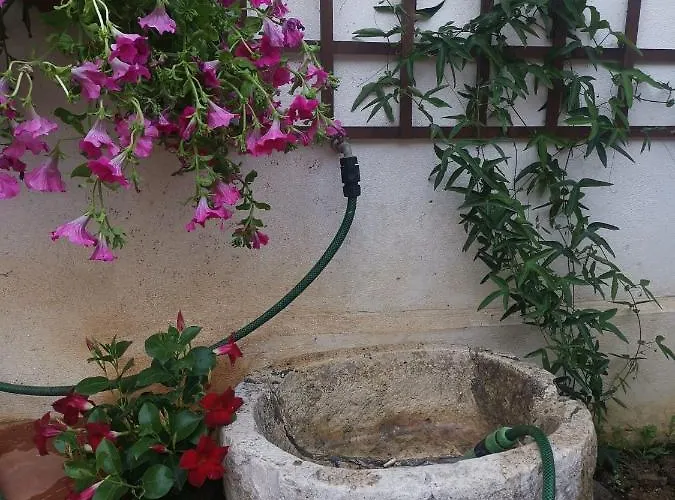 Appartement Princess House Palermo - Intero -